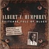 Suitcase full of Blues